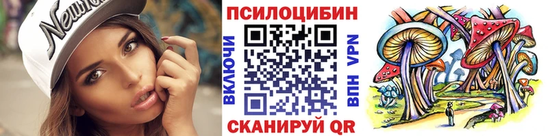 Купить  Солигалич  Псилоцибиновые грибы Psilocybe 
